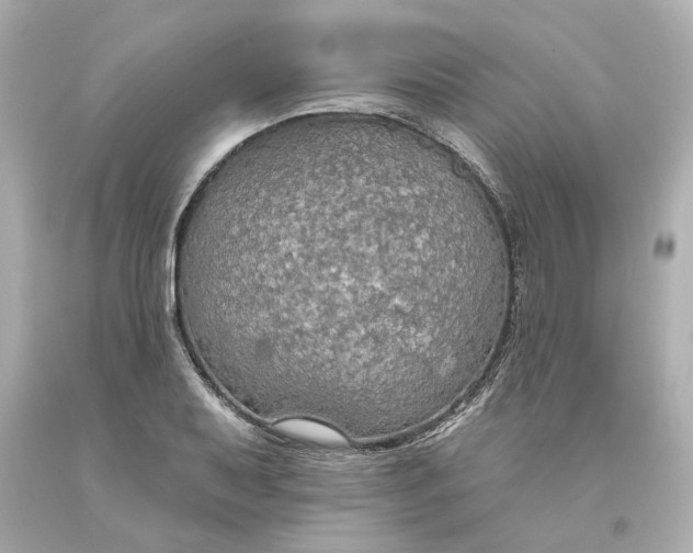 X0000093621079200710291221