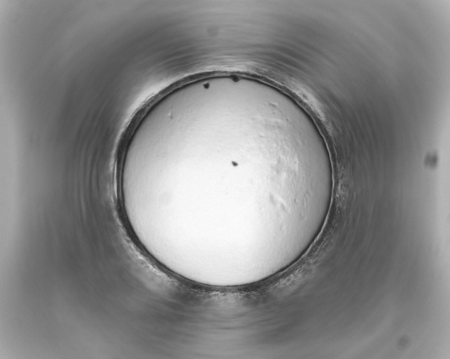 X0000093621080200710291221