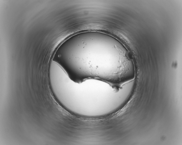 X0000093621081200710291221