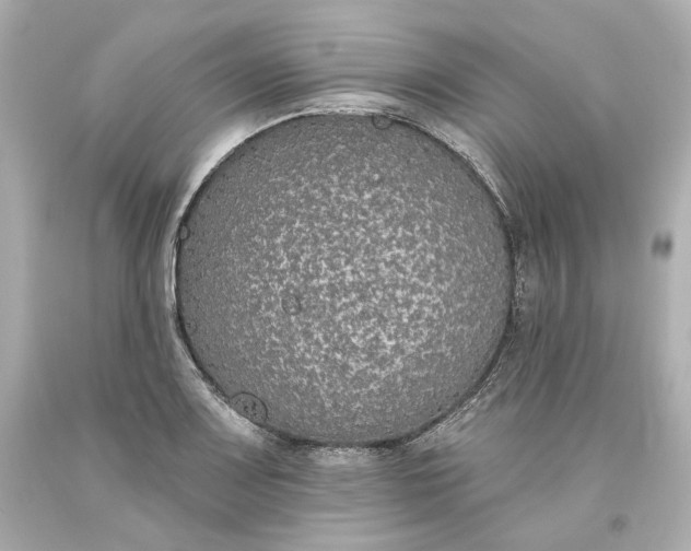 X0000093621083200710291221