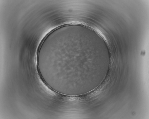 X0000093621084200710291221