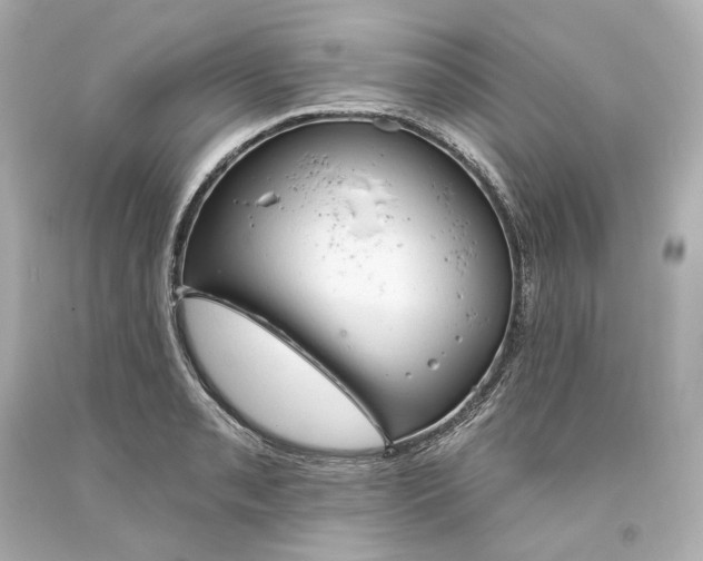 X0000093621085200710291221