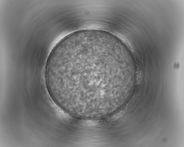 X0000093621086200710291221