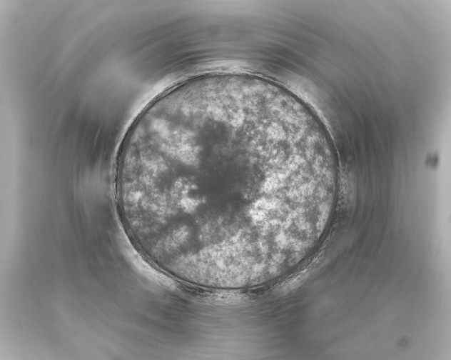 X0000093621090200710291221