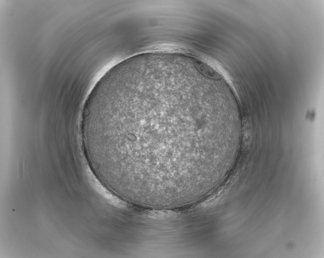 X0000093621091200710291221