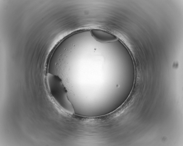 X0000093621093200710291221