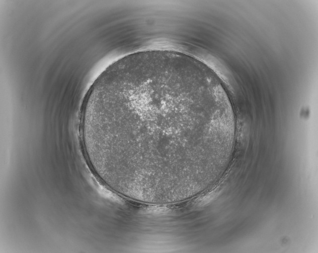 X0000093621094200710291221