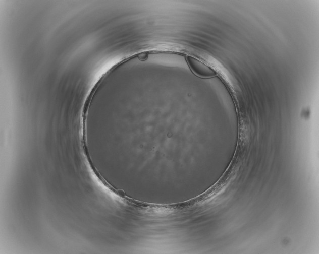 X0000093621095200710291221