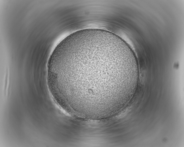 X0000093621096200710291221