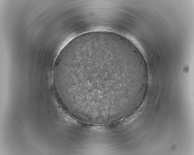 X0000093621097200710291221