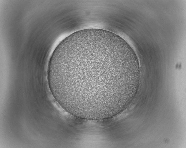 X0000093621104200710291221