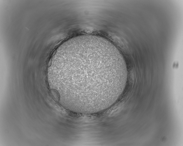 X0000093621105200710291220