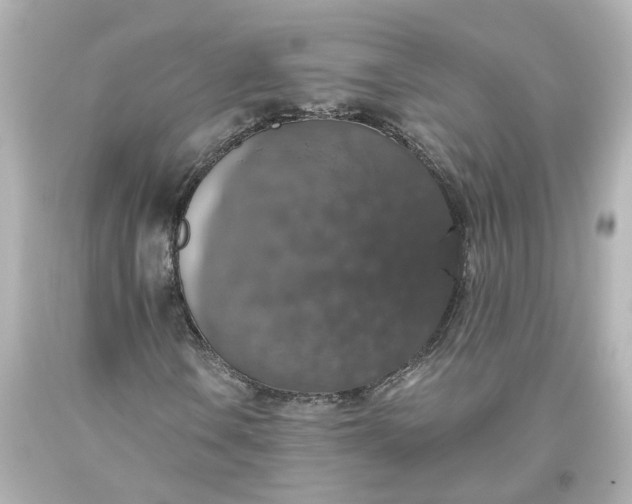 X0000093621106200710291220