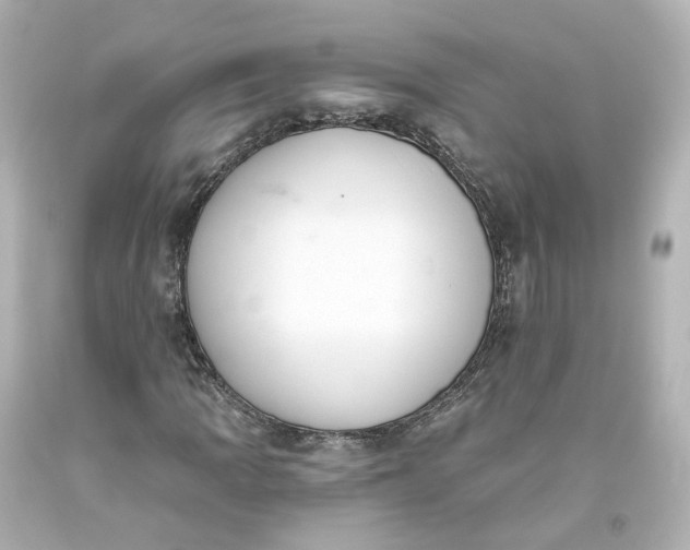 X0000093621109200710291220