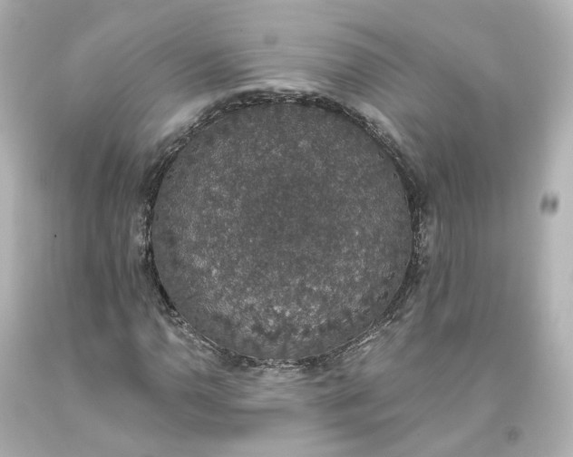 X0000093621110200710291220