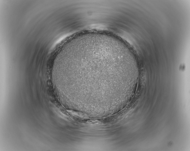 X0000093621112200710291220