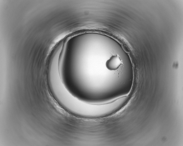 X0000093621114200710291220