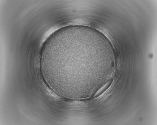 X0000093621115200710291220