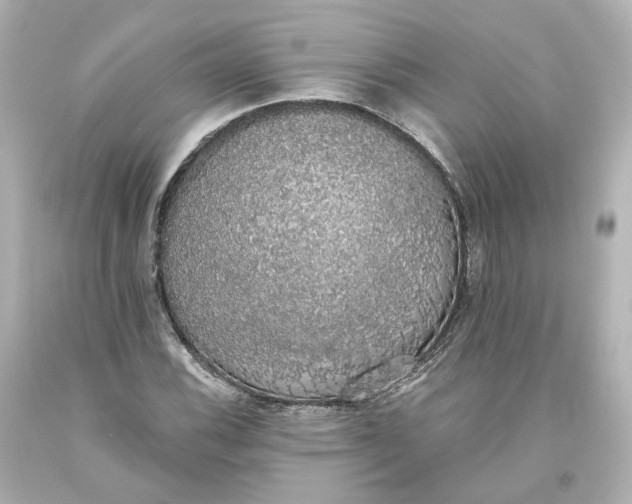 X0000093621116200710291220