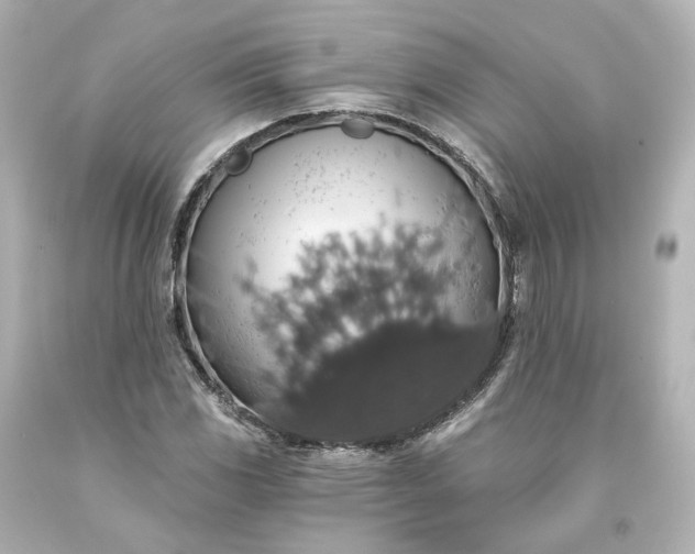 X0000093621117200710291220