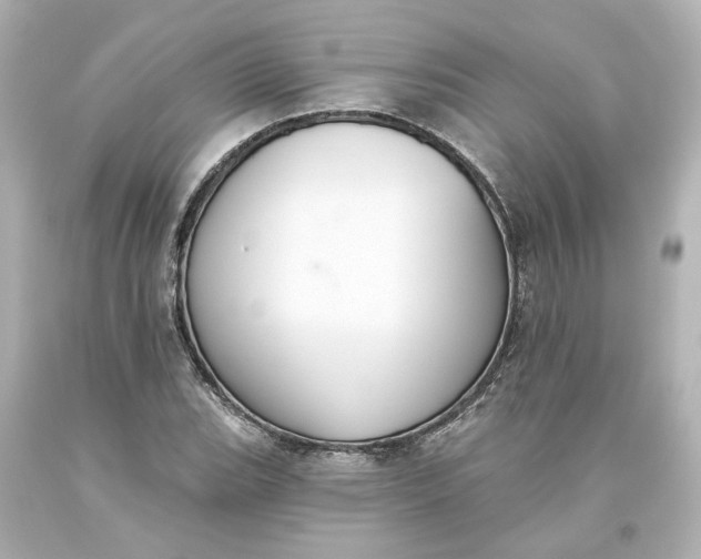 X0000093621119200710291220