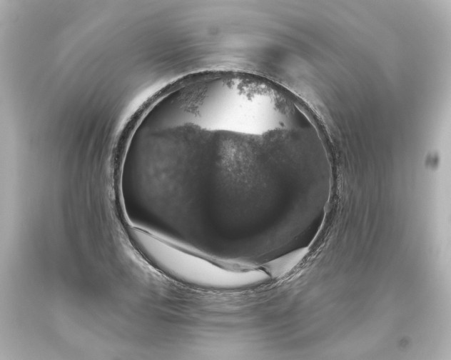 X0000093621120200710291220