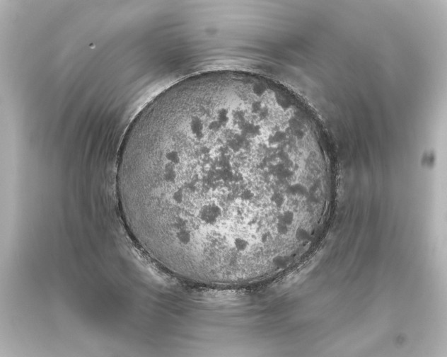 X0000093621121200710291220