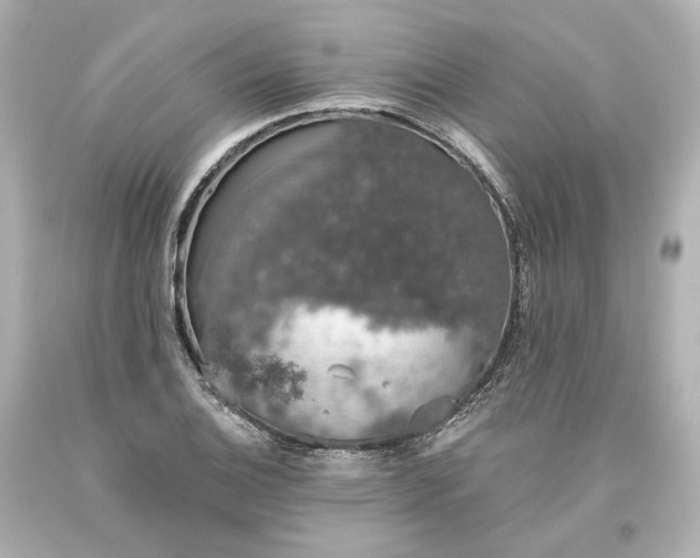 X0000093621124200710291220