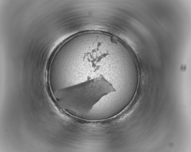 X0000093621125200710291220