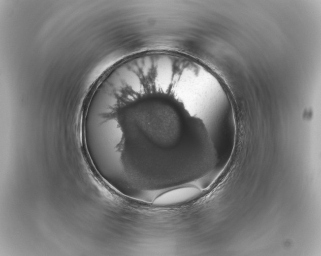 X0000093621127200710291220