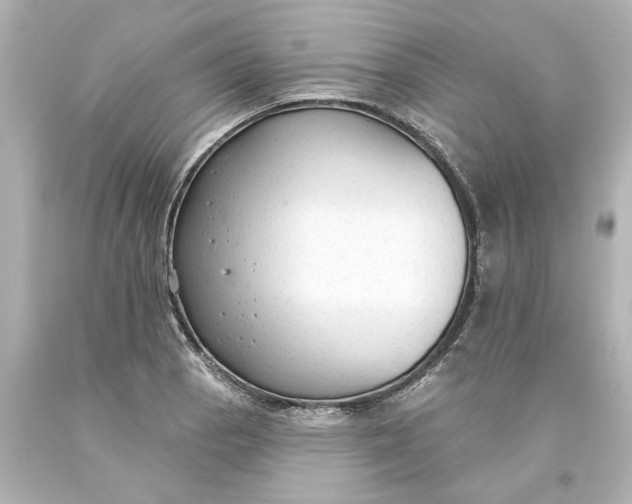 X0000093621129200710291220