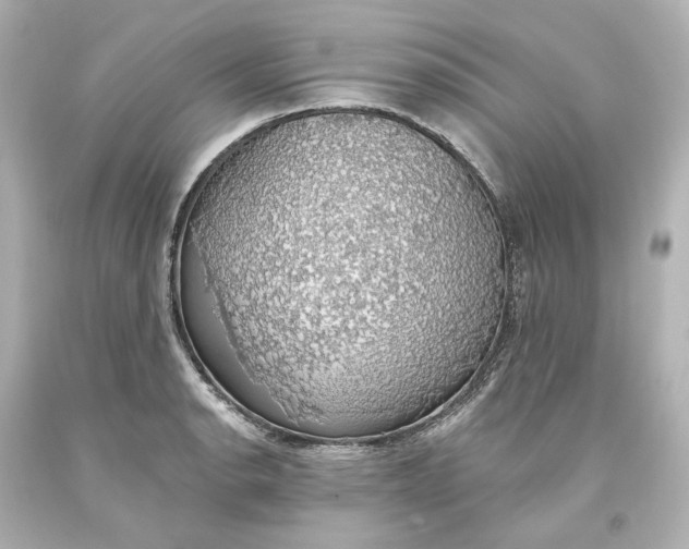 X0000093621134200710291220