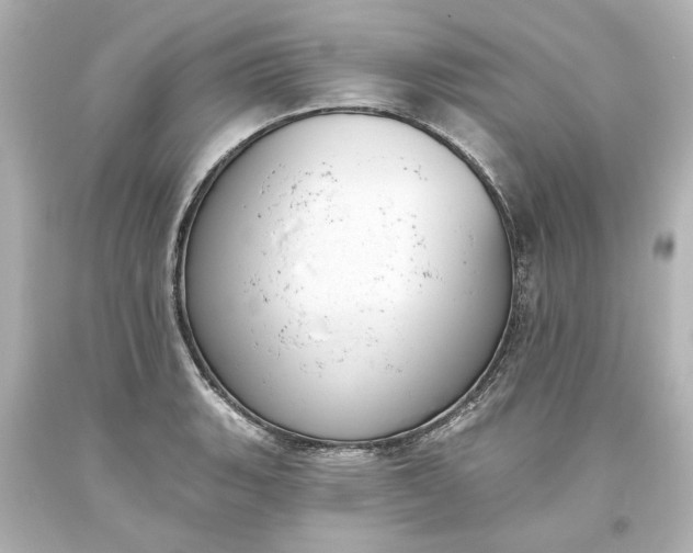 X0000093621135200710291220