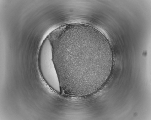 X0000093621138200710291221