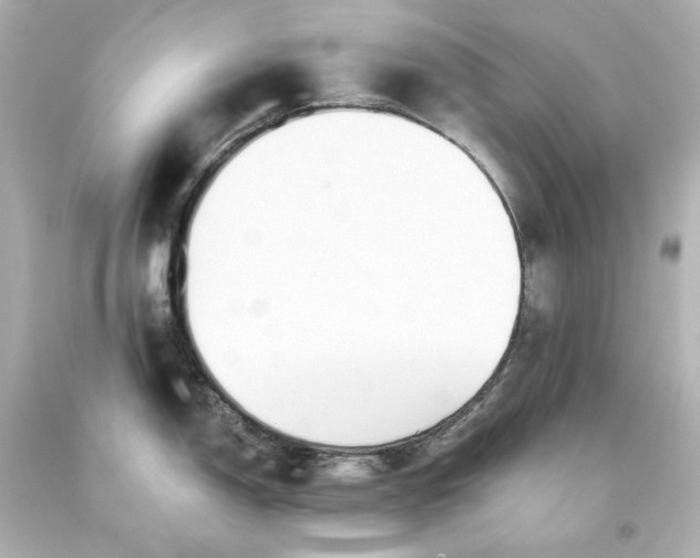 X0000093621150200710291221