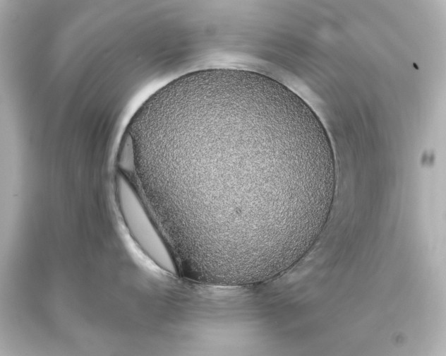 X0000093621152200710291221