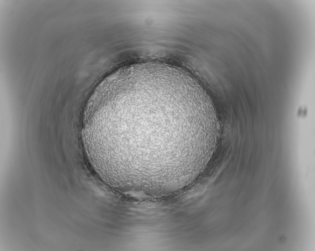 X0000093621153200710291220