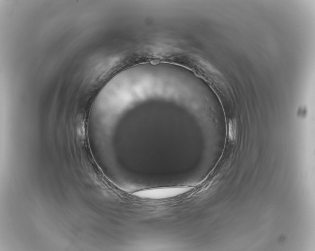 X0000093621155200710291220