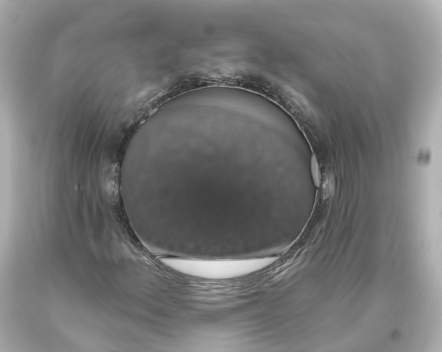 X0000093621156200710291220