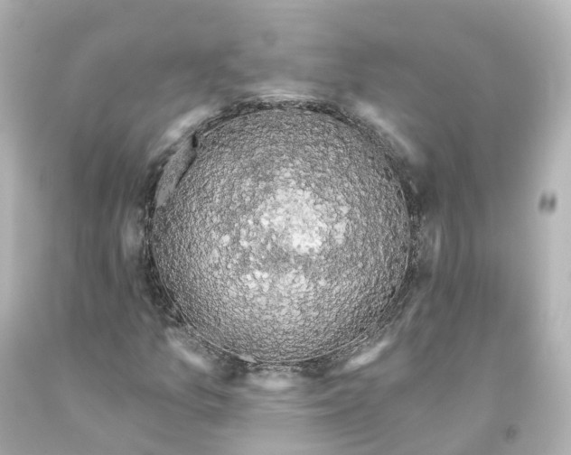 X0000093621157200710291220