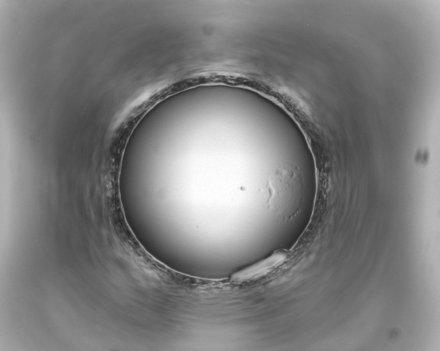 X0000093621159200710291220