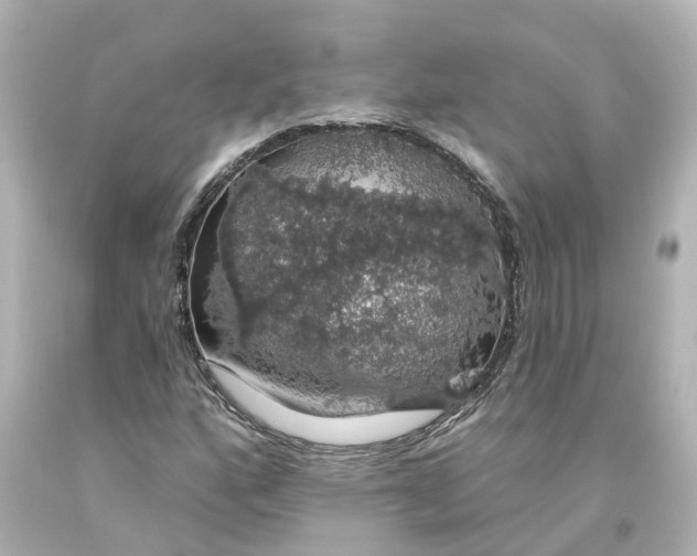 X0000093621160200710291220