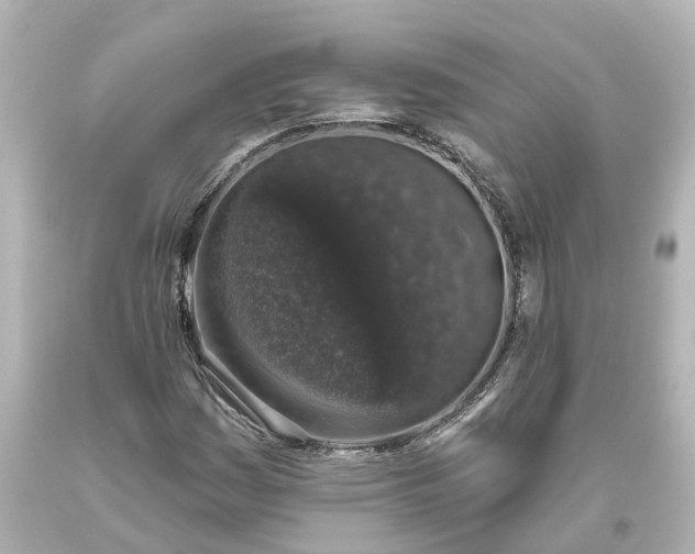 X0000093621161200710291220