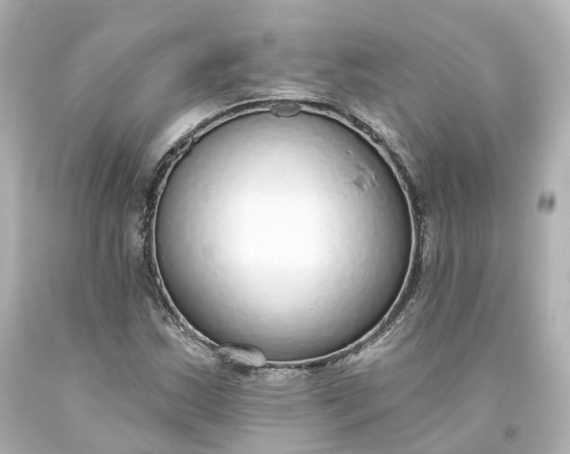 X0000093621163200710291220