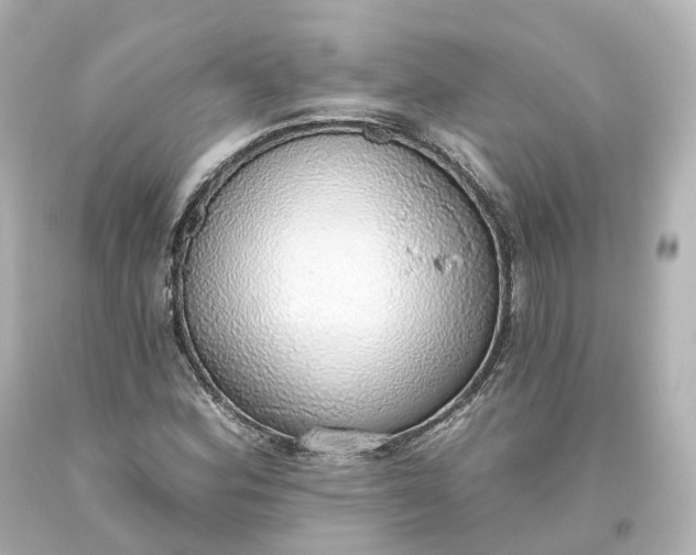 X0000093621164200710291220