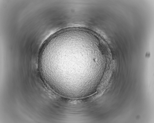 X0000093621165200710291220