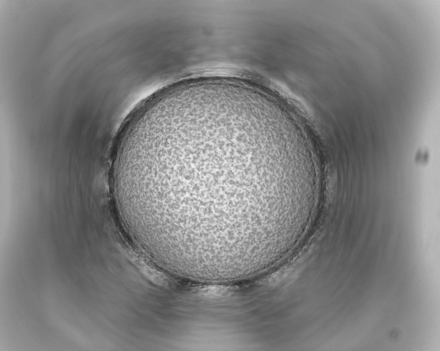 X0000093621166200710291220