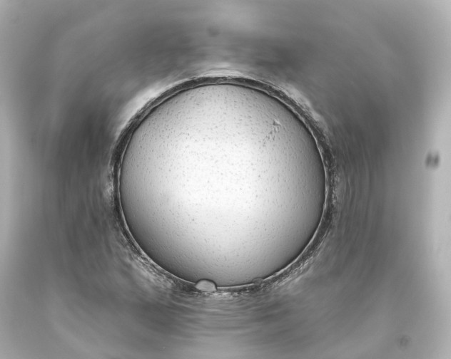 X0000093621167200710291220