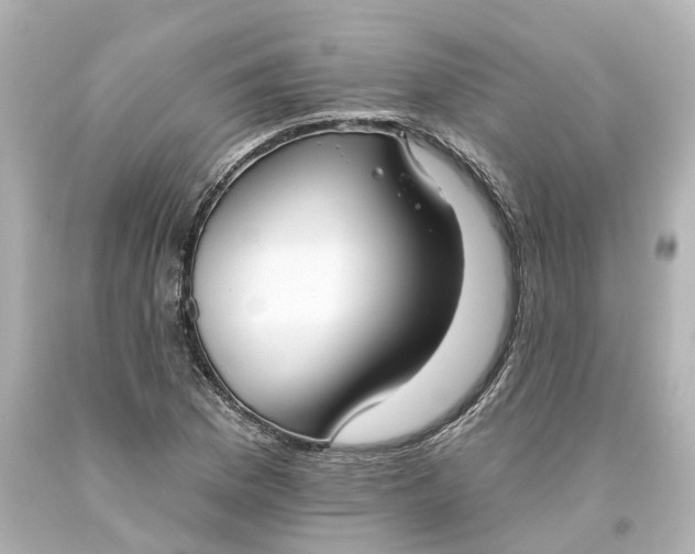 X0000093621169200710291220