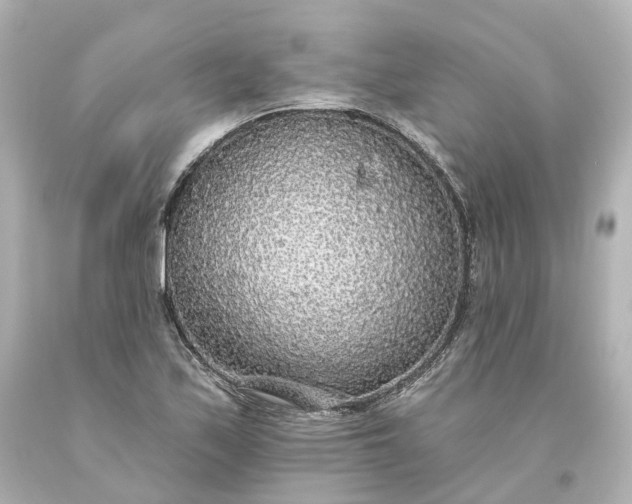 X0000093621171200710291220